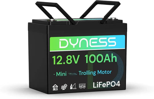 Batterie Lithium 12V 100Ah LiFePO4 avec BMS 100A, Durable et Sécurisée